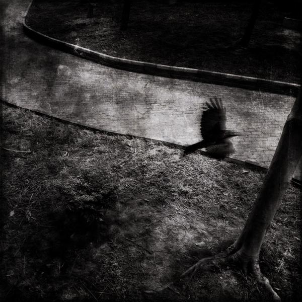 轰炸短信信息软件免费版